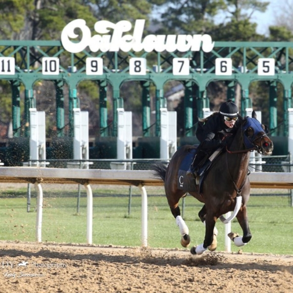 Meet your Poshess, Miss Chel-c - Picture 4 of 8